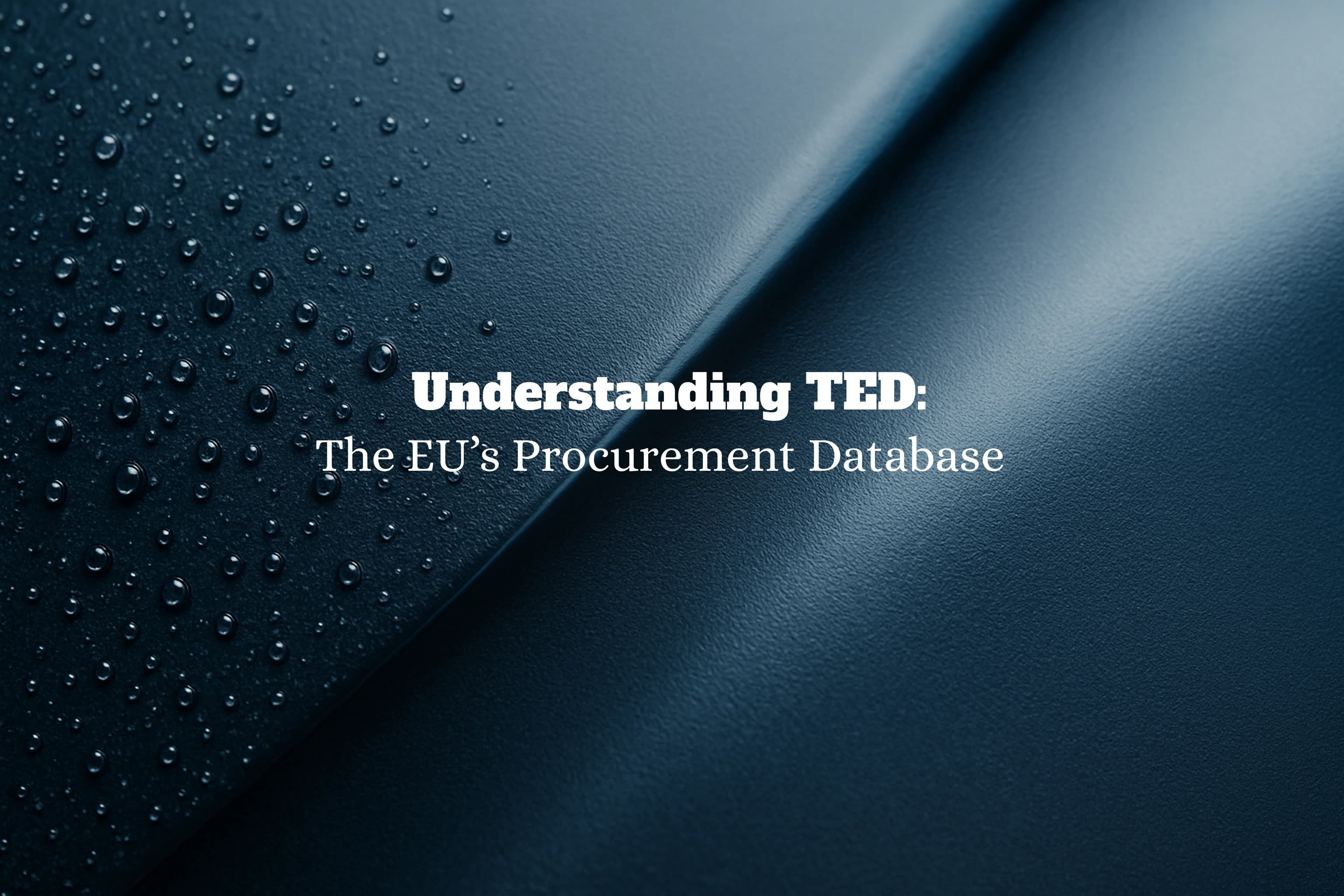 Understanding TED: The EU's Procurement Database